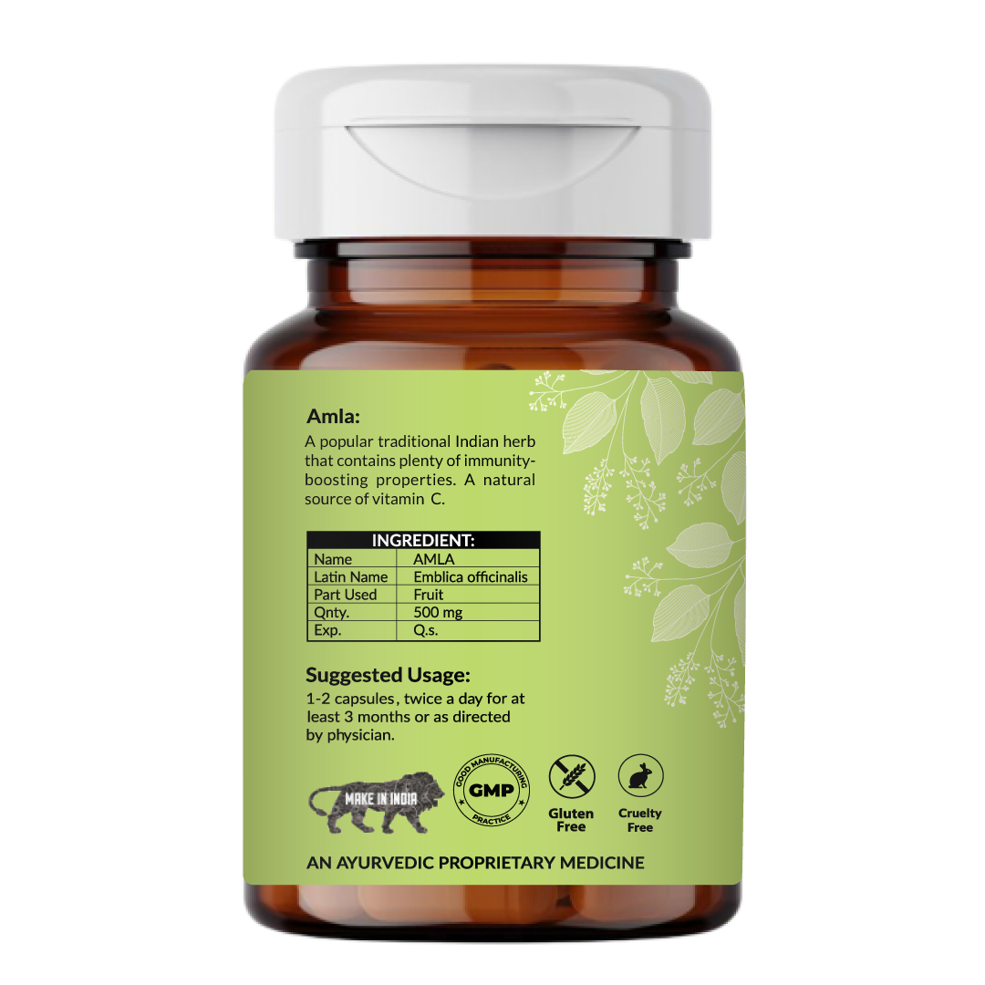 Organic Amla Capsule | Ayurvedic | 60 Capsules - Image 2
