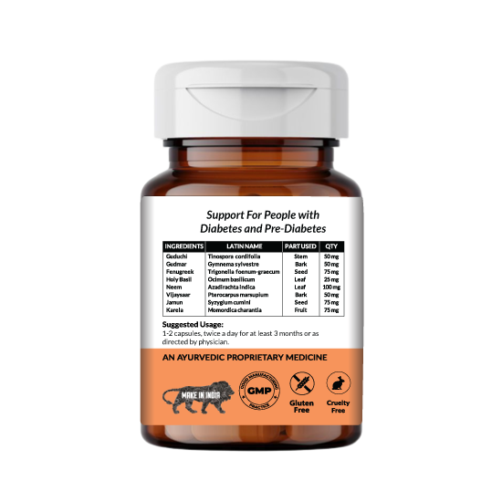 Diabetes Care | Ayurvedic | 60 Capsules - Image 2